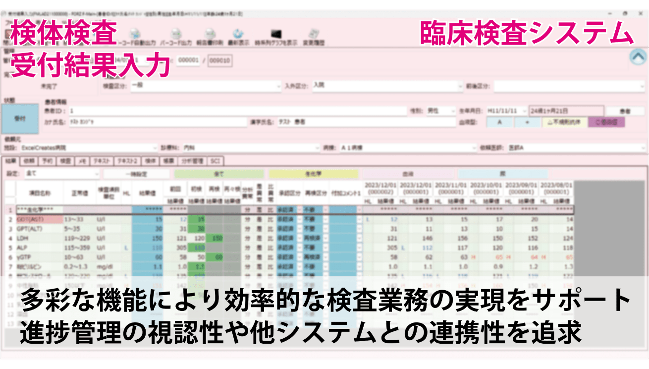 臨床検査システムの検体検査受付結果入力イメージ画像